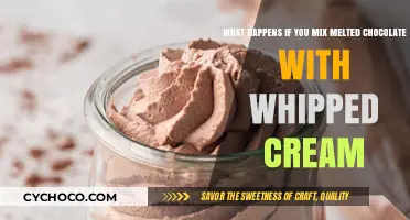 Decadent Delights: The Art of Chocolate and Whipped Cream Fusion