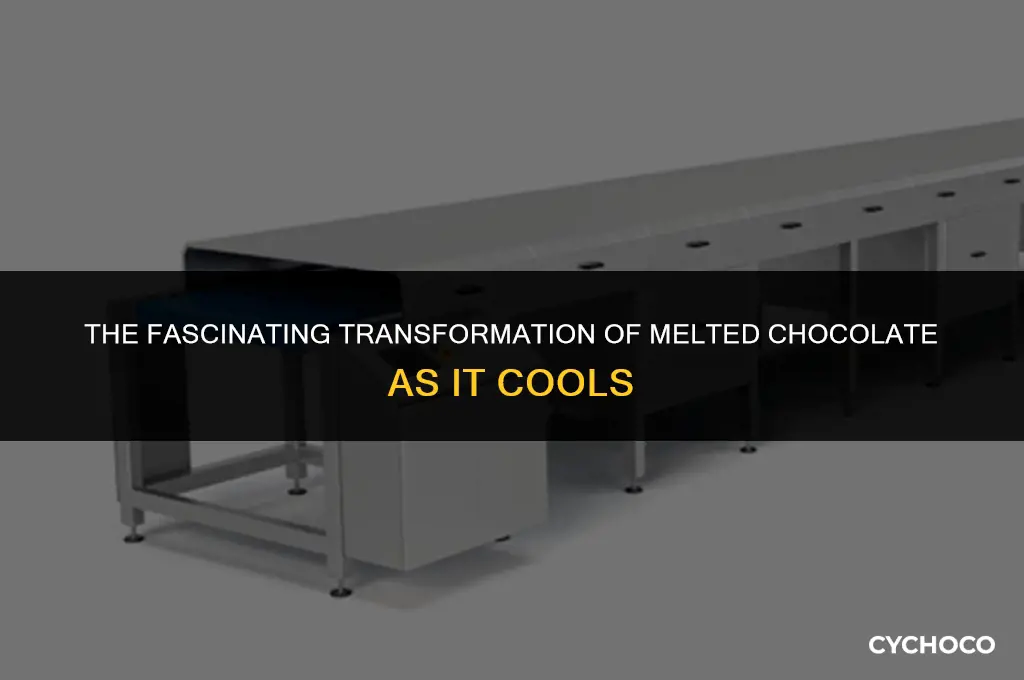 what happens to melted chocolate when it cools