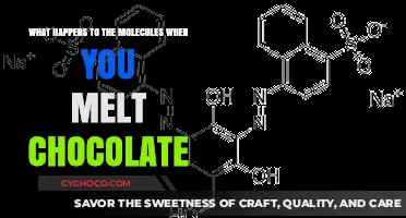 Unveiling the Molecular Magic: What Happens When Chocolate Melts?