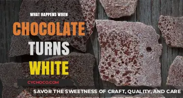 The Sweet Mystery: Why Chocolate Sometimes Turns White