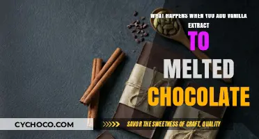 Sweet Alchemy: The Magic of Vanilla in Melted Chocolate