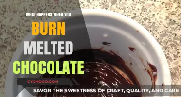 The Surprising Science Behind Burning Melted Chocolate