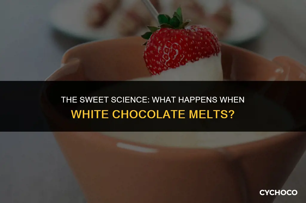 what happens when you melt white chocolate