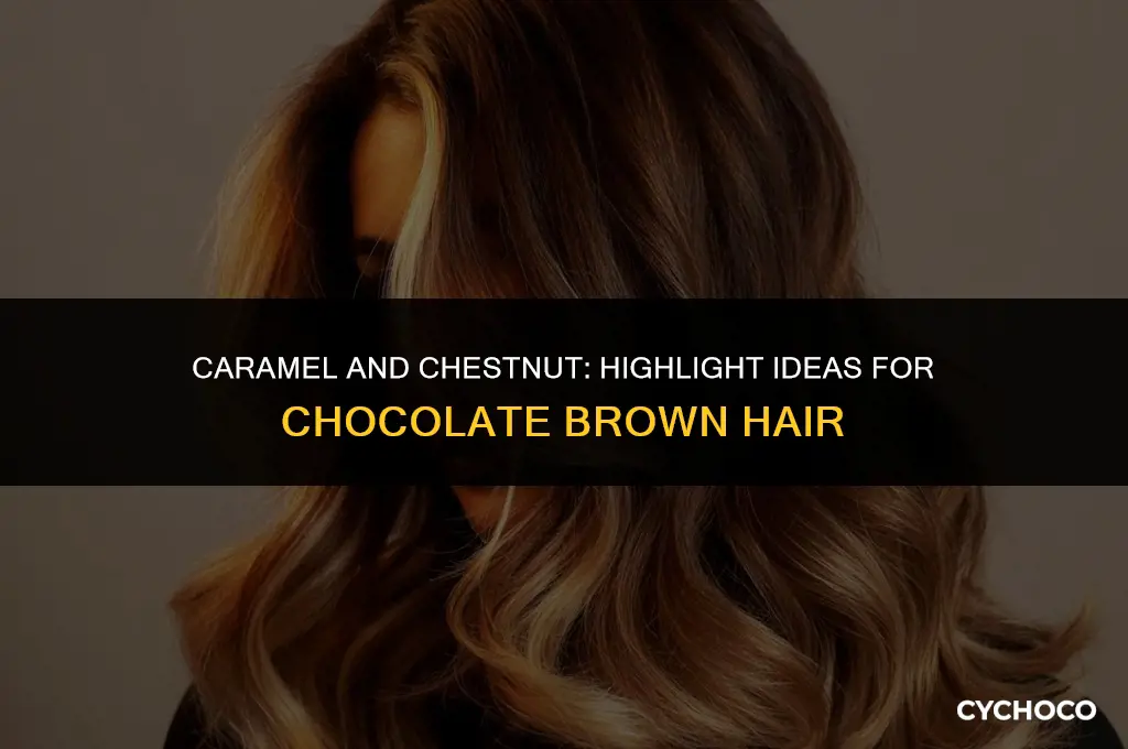 what highlights look good with chocolate brown hair