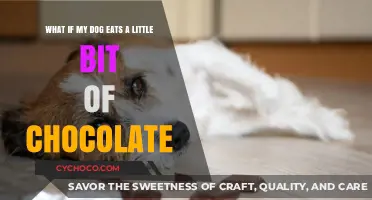 Sweet Treats and Canine Consequences: Chocolate Consumption in Dogs