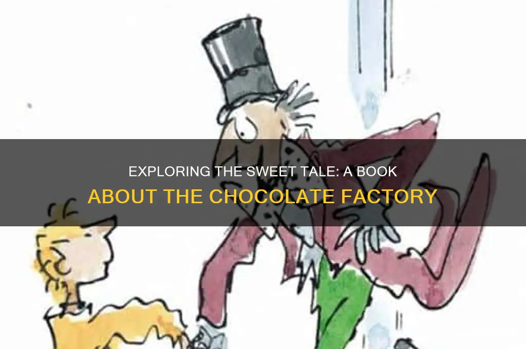 what is a book that goes to the chocolate factory