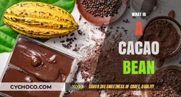 Unlocking the Secrets of the Cacao Bean: A Journey into Chocolate's Heart
