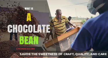 Unveiling the Rich Journey of Chocolate Beans: From Tree to Treat