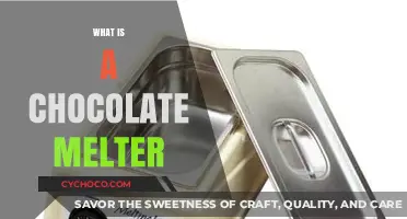 Unveiling the Sweet Secrets: What is a Chocolate Melter?