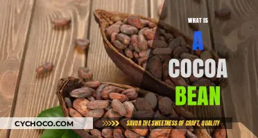 Unlocking the Secrets of Cocoa Beans: A Journey into Chocolate's Heart