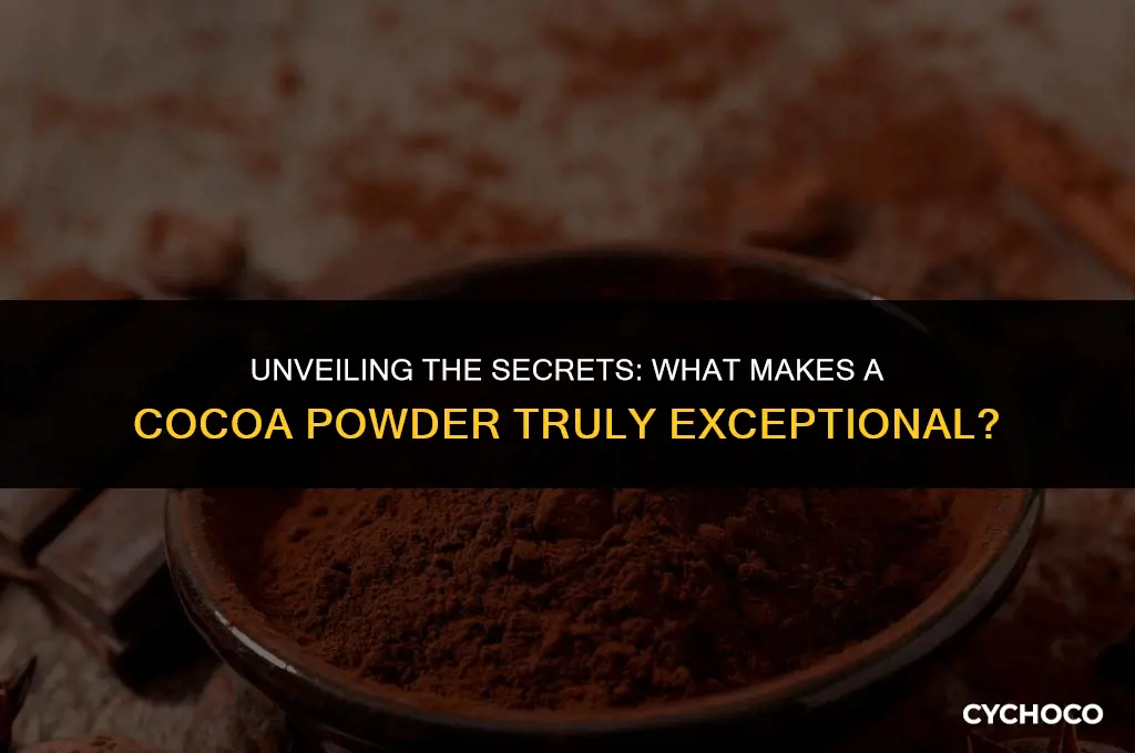 what is a good cocoa powder