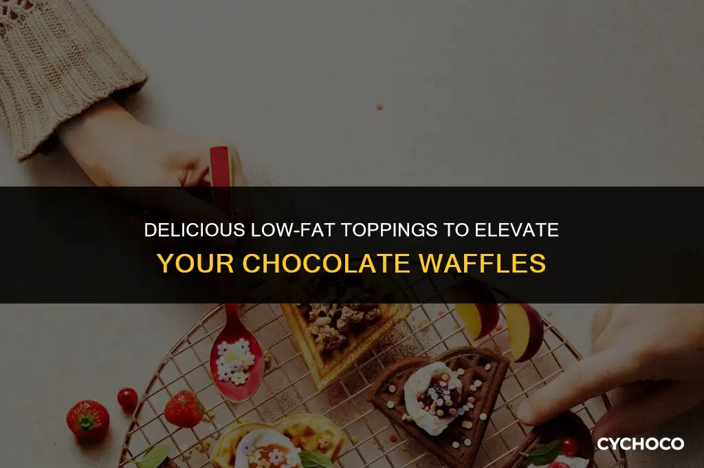 what is a good low fat topping for chocolate waffles