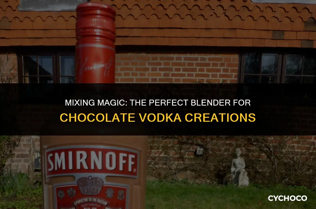 what is a good mixer for chocolate vodka