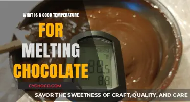 The Art of Chocolate: Mastering the Perfect Melting Temperature