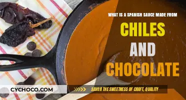 Exploring Mole: The Rich Fusion of Chiles and Chocolate in Spanish Cuisine