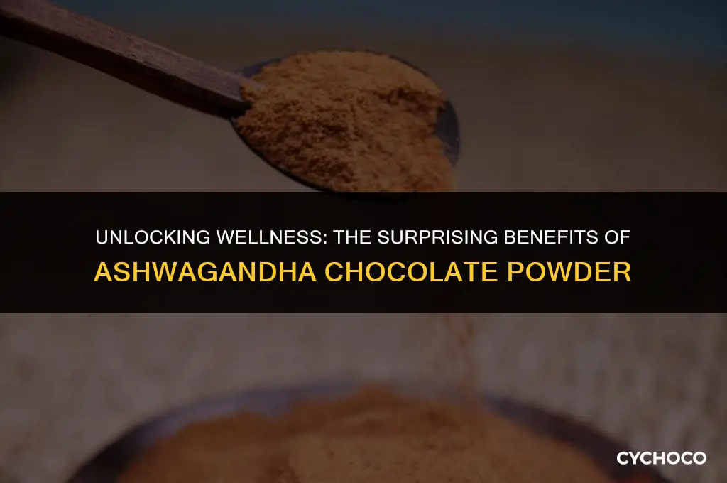 what is ashwagandha chocolate powder good for