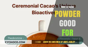 Unlocking the Health Benefits of Cacao Powder: A Delicious Guide