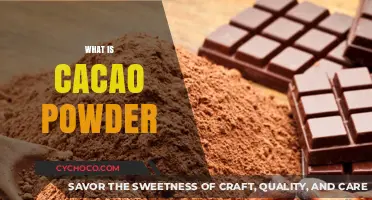 Unveiling the Richness: What Is Cacao Powder and Its Uses