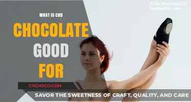 Exploring the Benefits of CBD Chocolate: A Delicious Wellness Trend