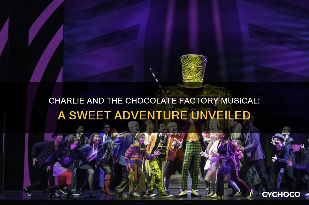 what is charlie and the chocolate factory about musical