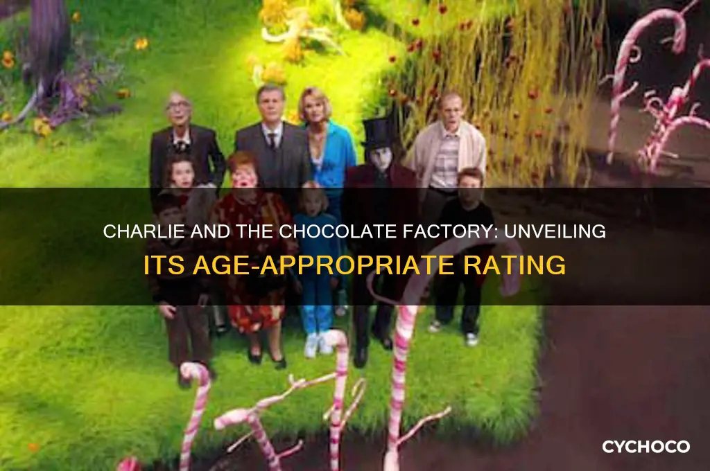 what is charlie and the chocolate factory rated