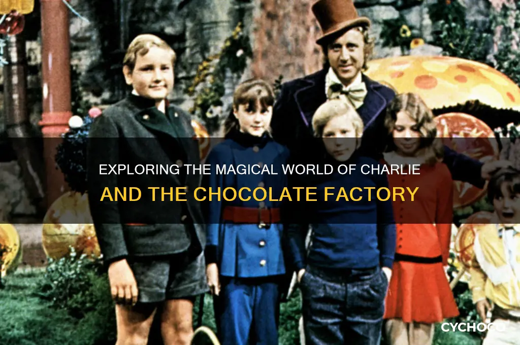 what is charlie and the chocolate factory