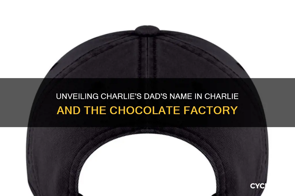 what is charlies dads name charlie and the chocolate factory