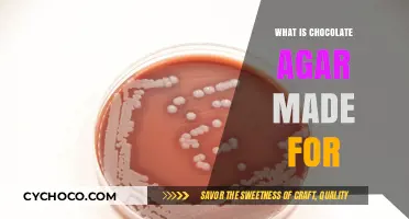 Unveiling the Sweet Science: What Chocolate Agar is Made For