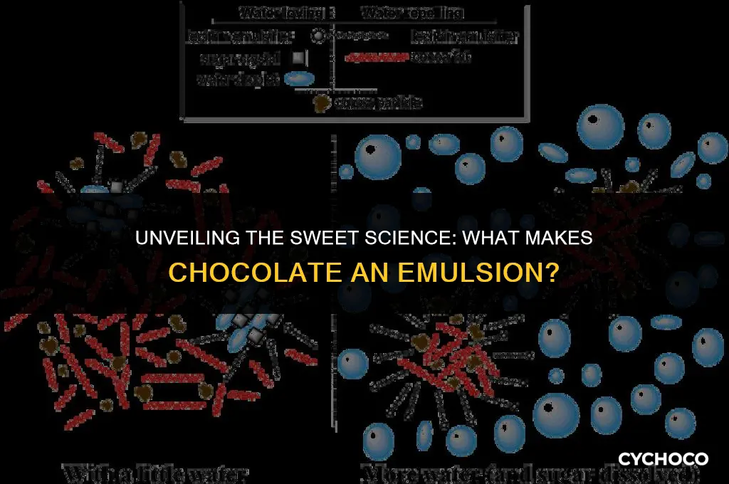 what is chocolate an emulsion made of