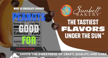Indulgent Treats with a Nutritional Twist: Chocolate-Covered Peanuts