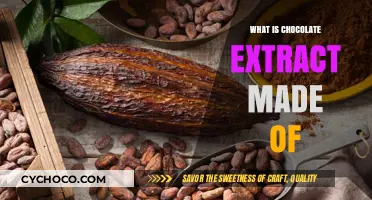 Unveiling the Sweet Mystery: What's Inside Chocolate Extract?