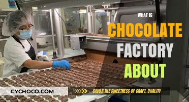 Unveiling the Sweet Secrets: What is Chocolate Factory About?