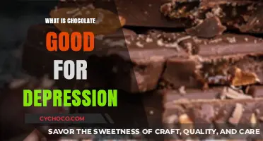 Sweet Relief: Exploring Chocolate's Potential Benefits for Depression