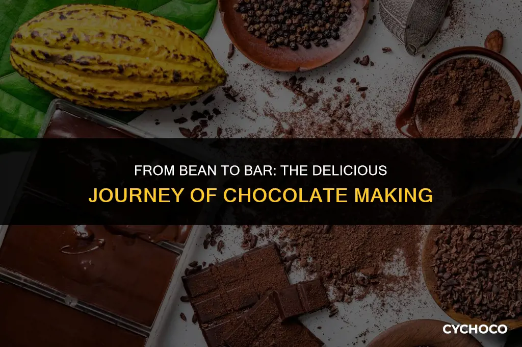 what is chocolate made from cocoa beans