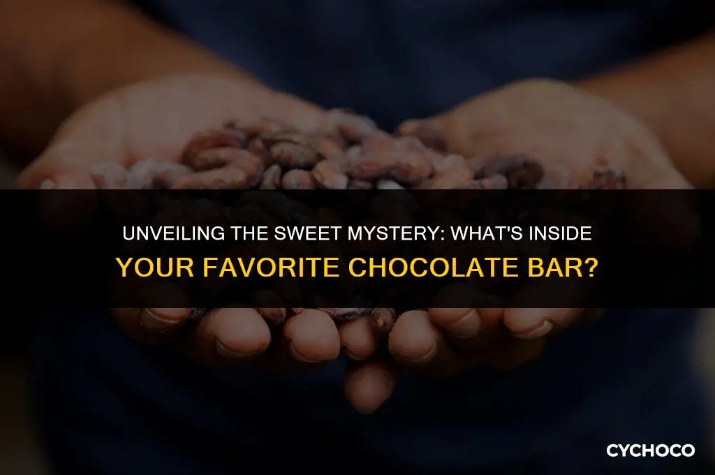 what is chocolate made from ks2