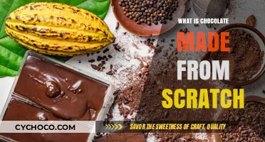 From Bean to Bar: The Art of Making Chocolate from Scratch