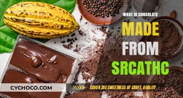 Unveiling the Rich Journey: How Chocolate Transforms from Bean to Bar