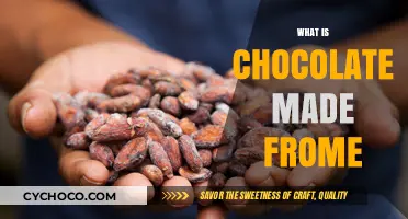Unveiling the Delicious Journey: What Chocolate is Made From