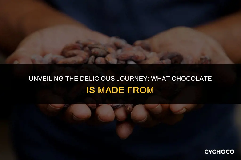 what is chocolate made frome