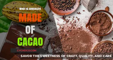 Unveiling the Rich Journey: How Cacao Transforms into Chocolate