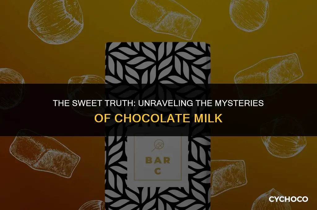 what is chocolate milk