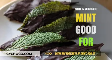 Exploring the Surprising Health Benefits of Chocolate Mint
