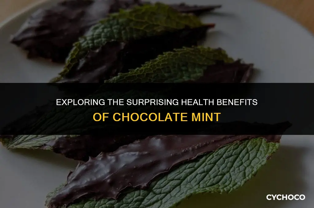 what is chocolate mint good for
