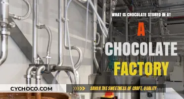 Chocolate Storage Secrets: Inside the Factory's Preservation Techniques