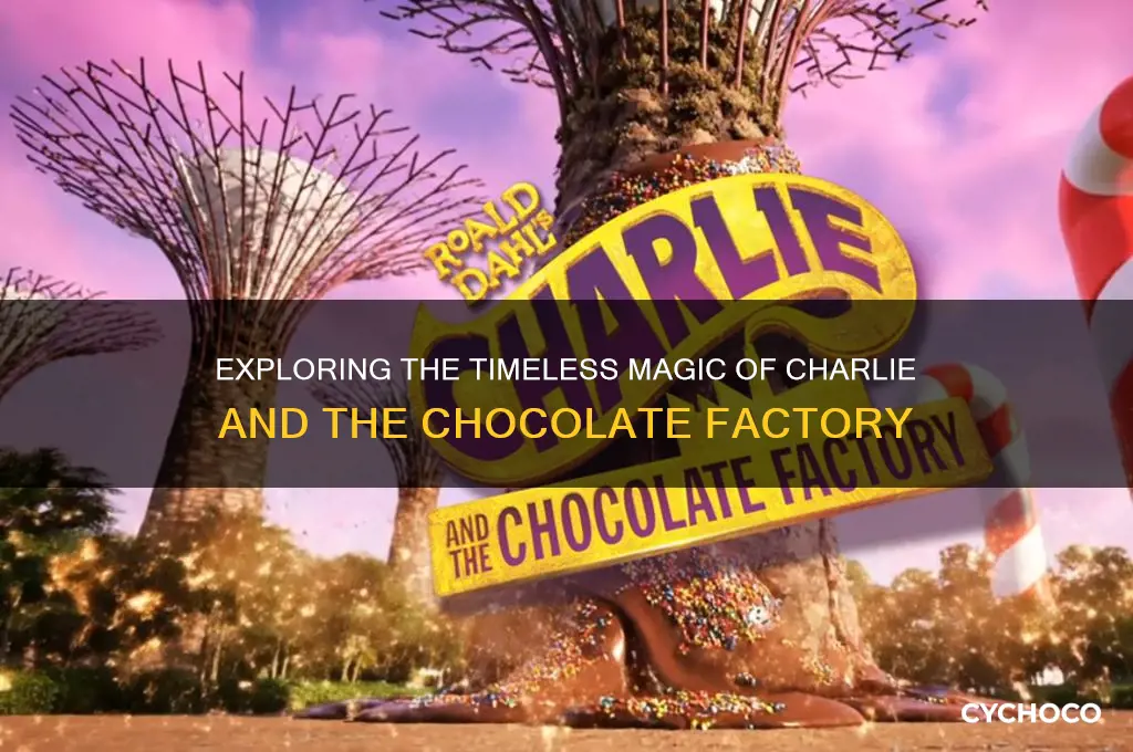 what is classics charlie and the chocolate factory about