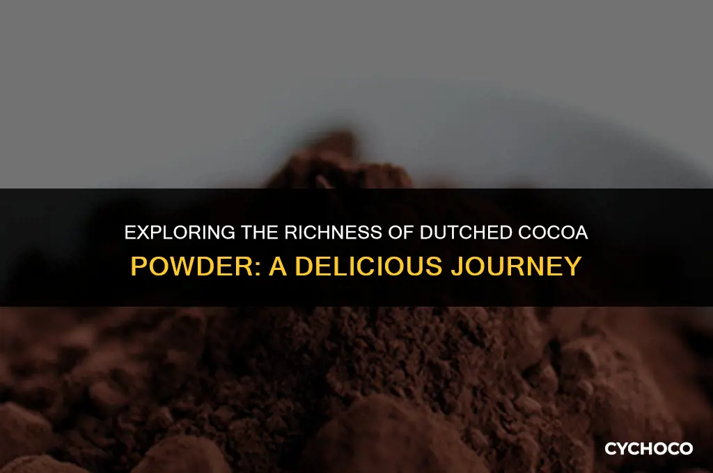 what is dutched cocoa powder