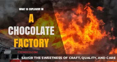 Explosive Secrets: Unveiling the Surprising Truth in Chocolate Factories