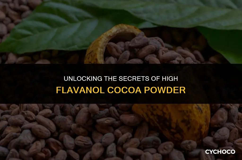 what is high flavanol cocoa powder