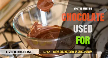 Sweet Transformations: The Versatile Uses of Melted Chocolate