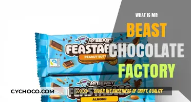 Unveiling MrBeast's Chocolate Factory: A Sweet Business Venture Explained